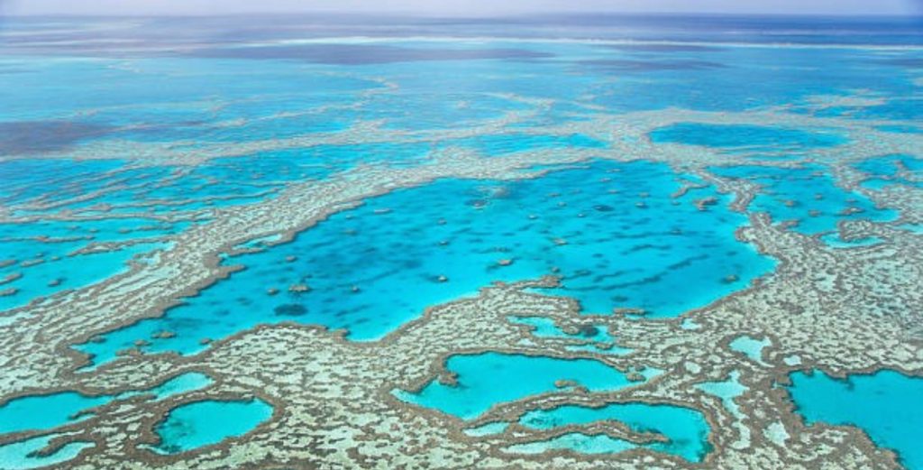 great barrier reef where