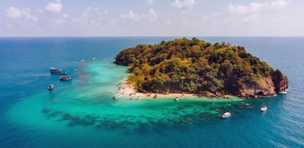Lady Elliot Island: History, Animal, eco-resort & coral reef paradise