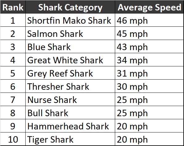 How Fast Can Sharks Swim: Top 6 Fastest Sharks Speed Secrets
