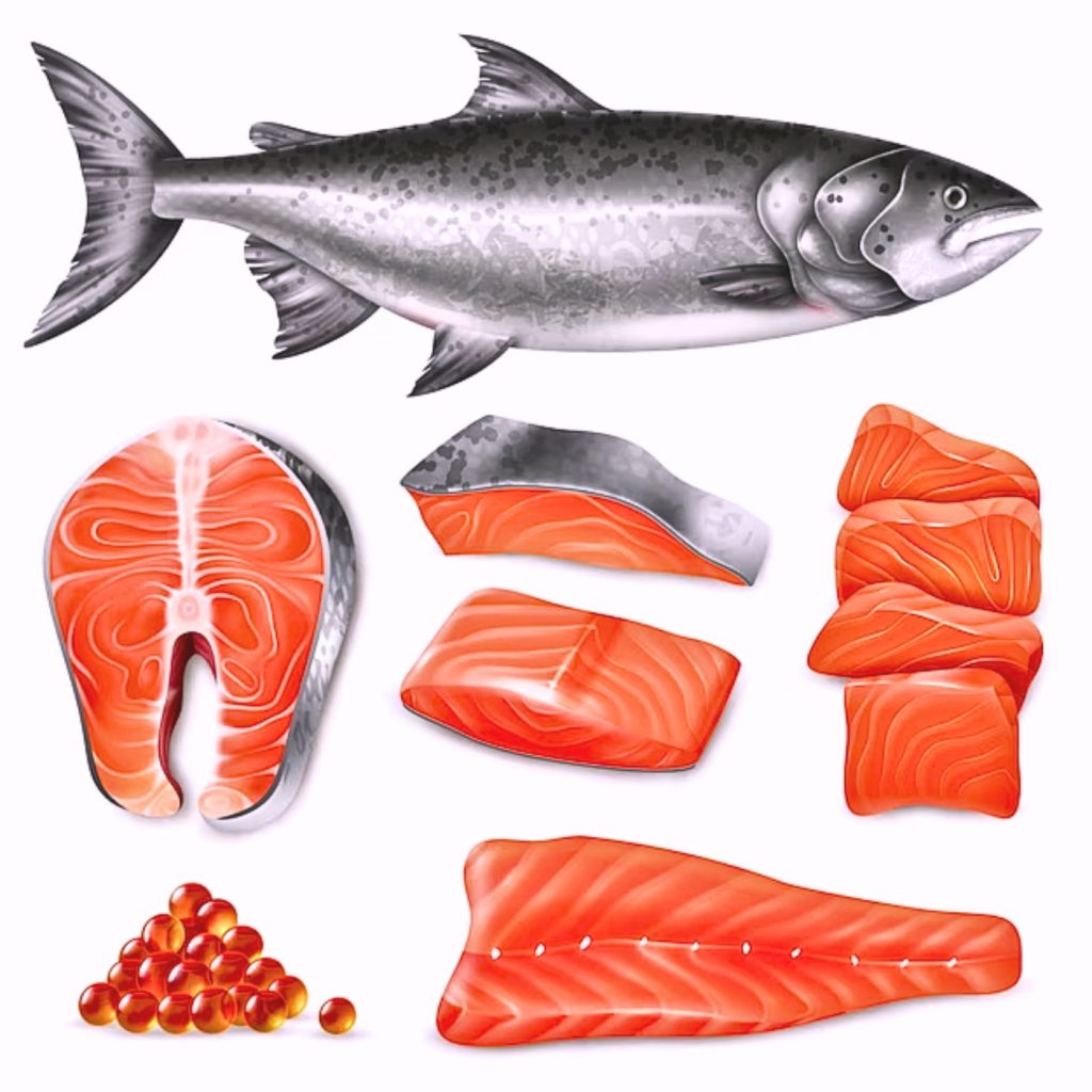 The Best Salmon to Eat: Flavor | Health Benefits| Alaskan | Atlantic