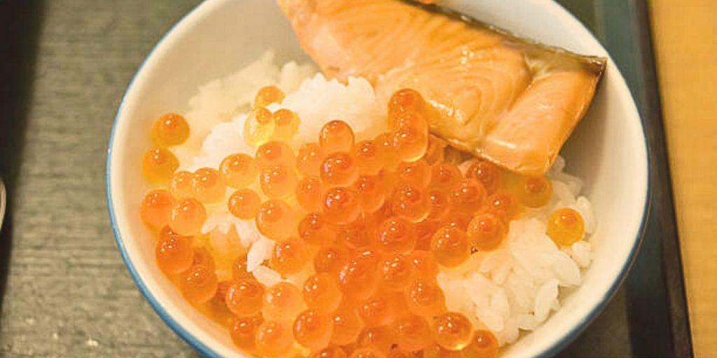 food of salmon egg
